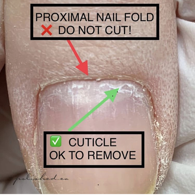 Dear Client, Please Stop Asking Us To Cut Your Cuticles” – 